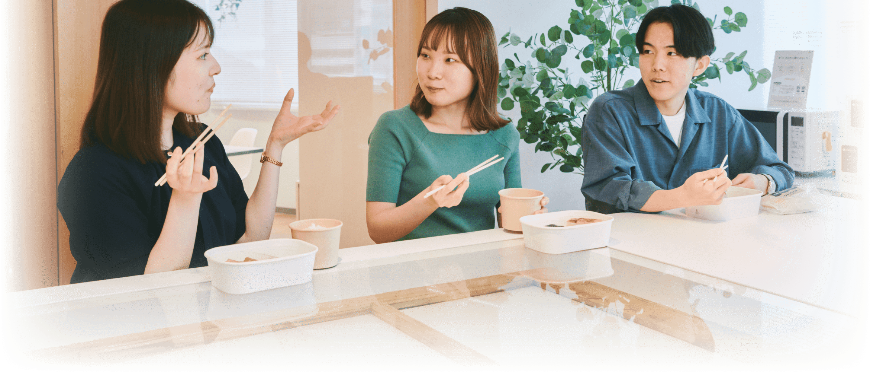 採用情報